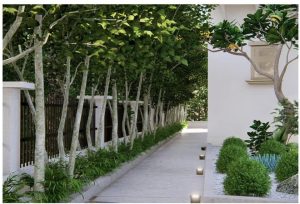 WhatsApp Image 2025-09-19 at 5.31.55 PM (1)