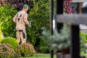 Professional Landscaping Services in Dubai
