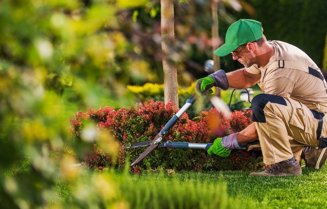 landscape gardening services